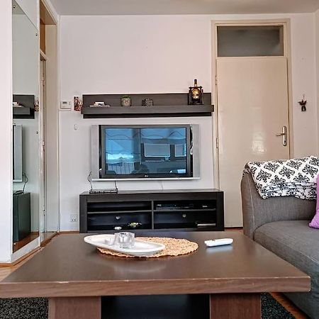 Spacious Condo Near Bascarsija - Free Parking SJJ Buitenkant foto
